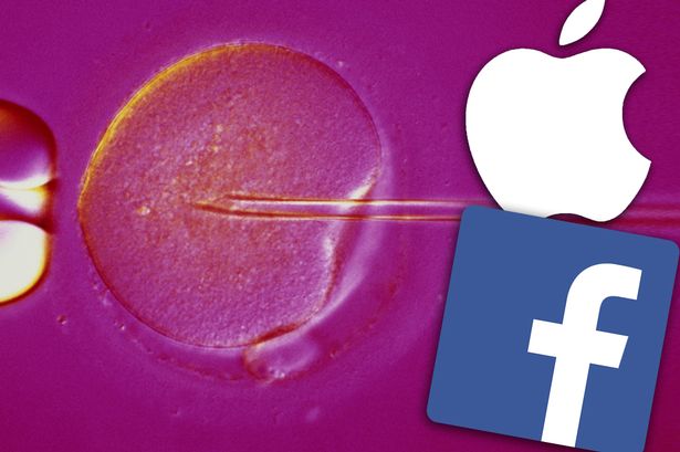 apple-facebook-freeze-eggs-main