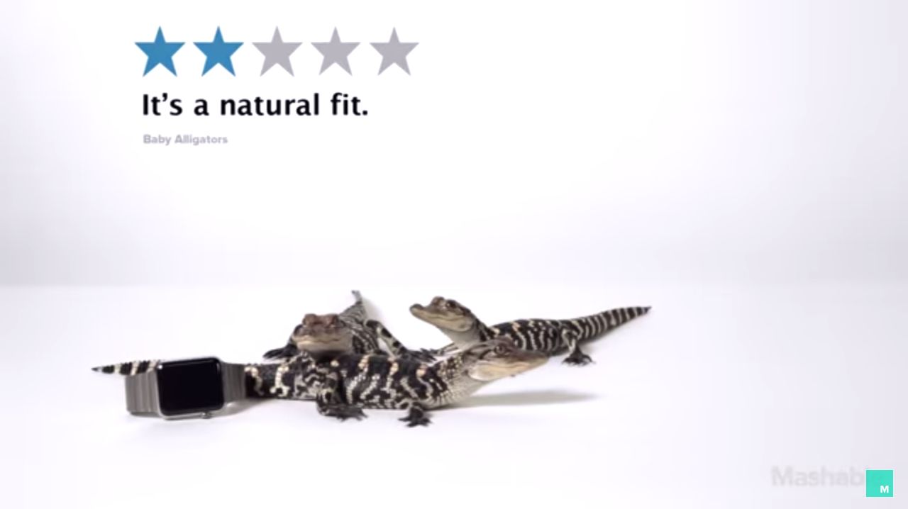 Baby-Alligators-review-Apple-Watch