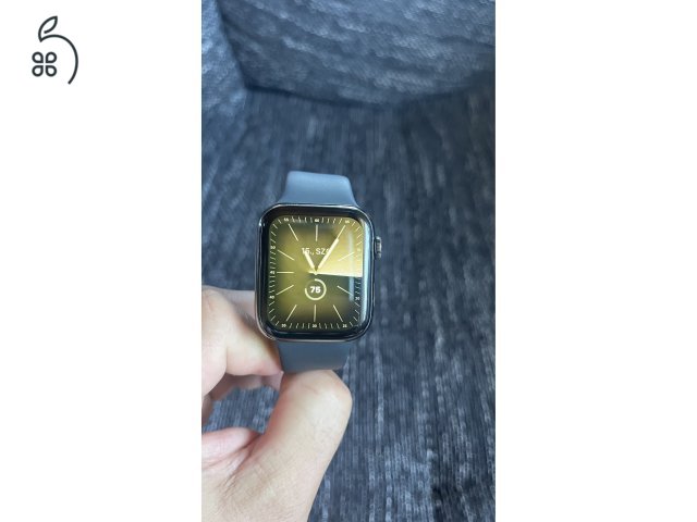 Stainless Steel Apple Watch S6