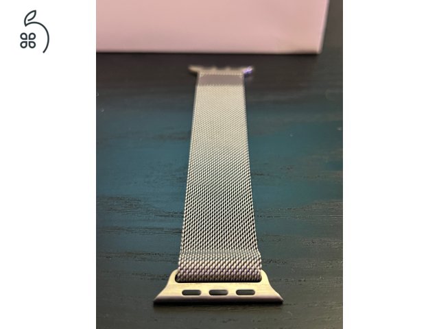 Apple Watch Series 5 44mm Stainless Steel + Milanese Loop