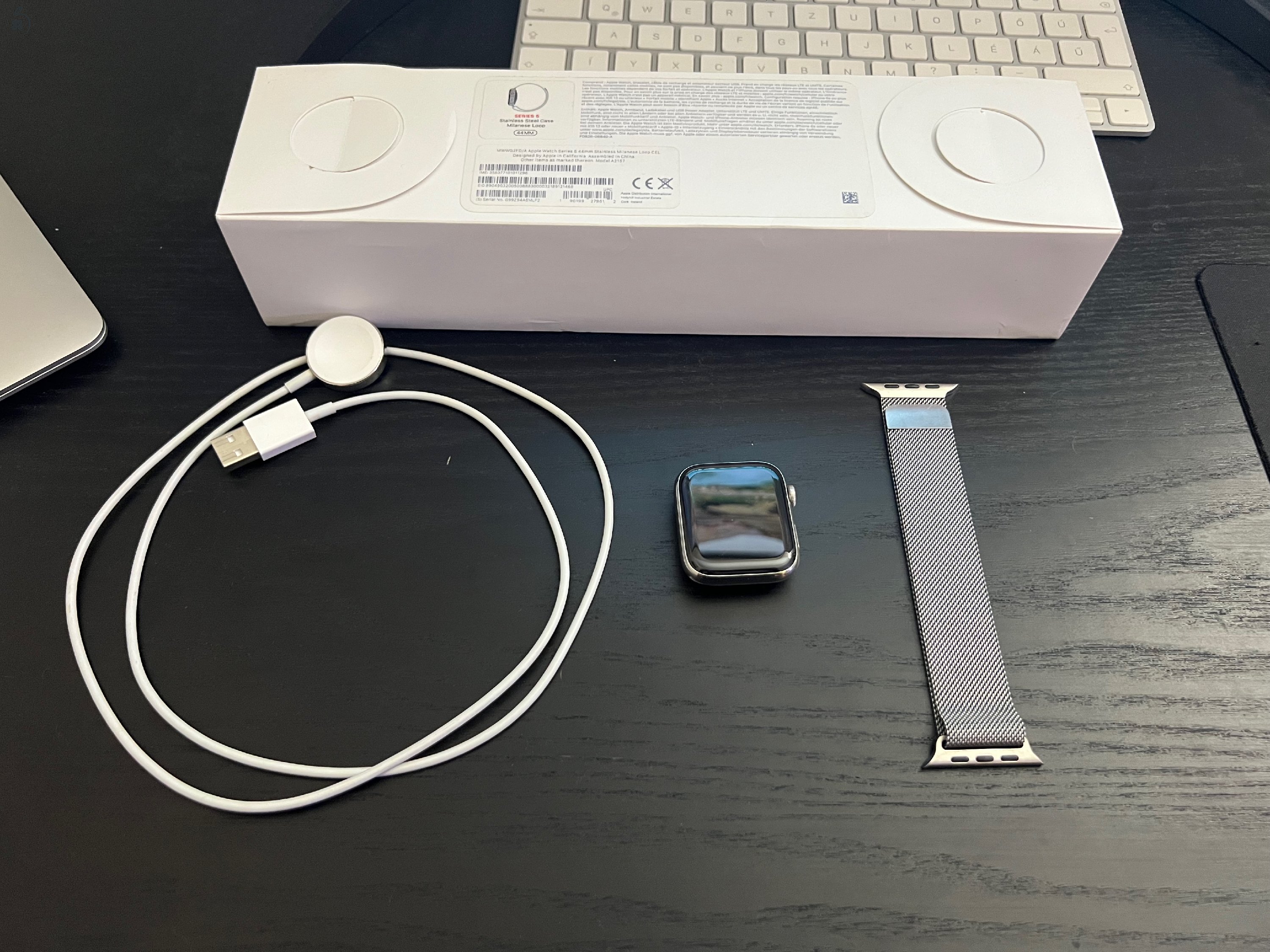 Apple Watch Series 5 44mm Stainless Steel + Milanese Loop