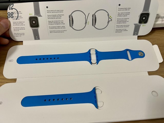 Apple Watch 44mm Surf Blue Sport Band - Regular