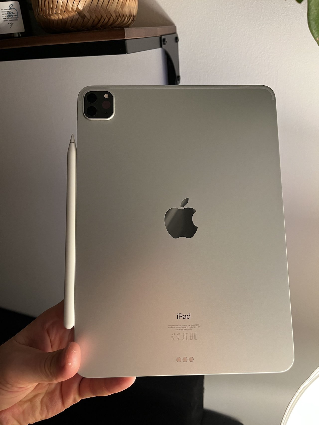 iPad Pro 11