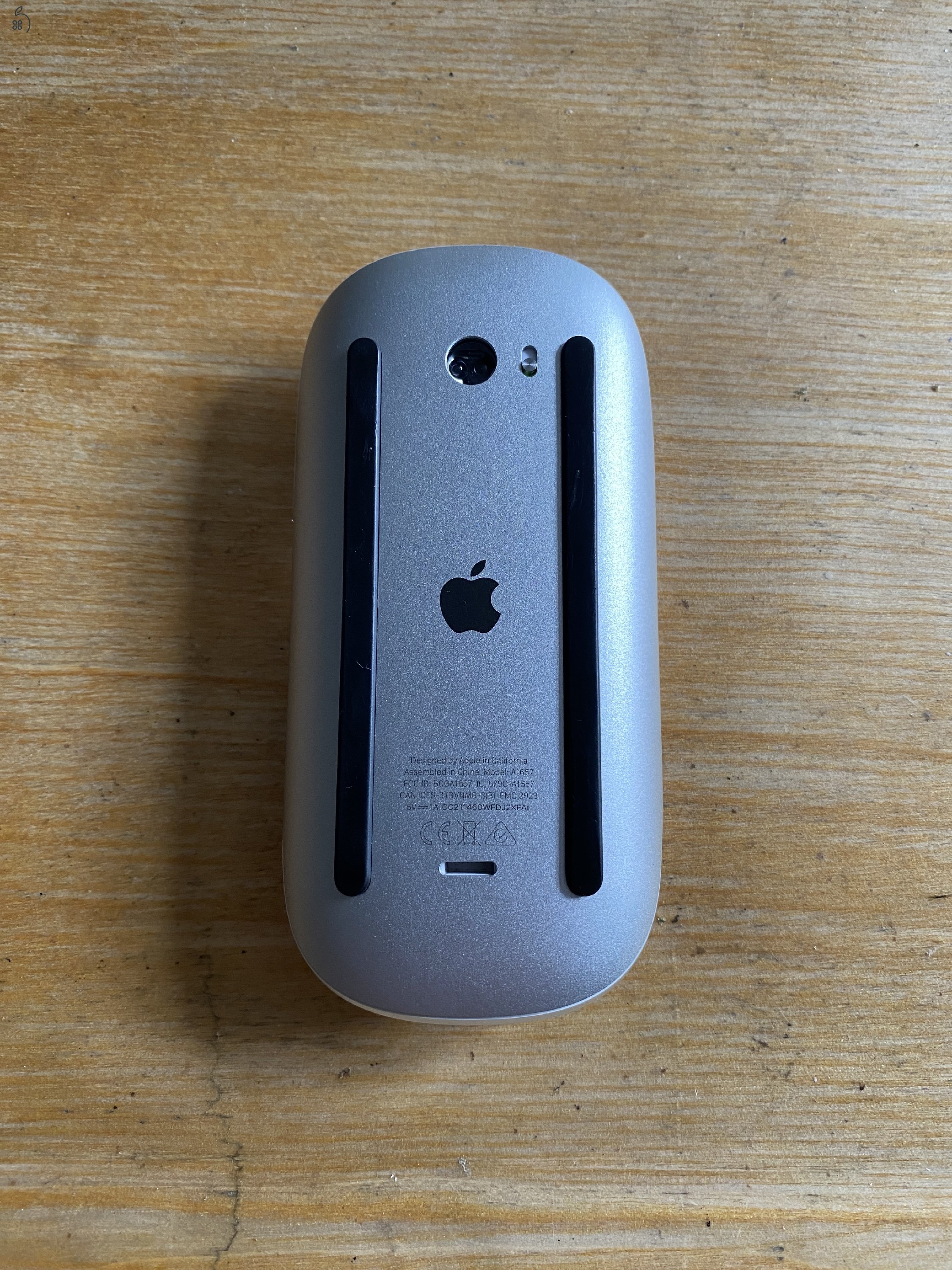 Magic mouse 2