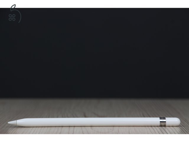 Apple Pencil 1st. B US-5867