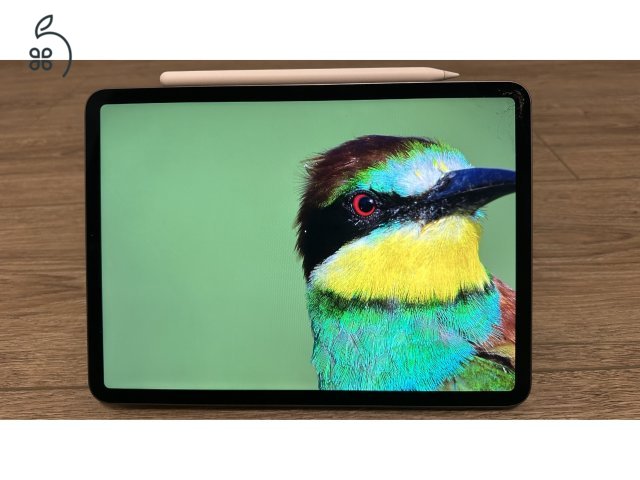 M1 iPad Pro 11