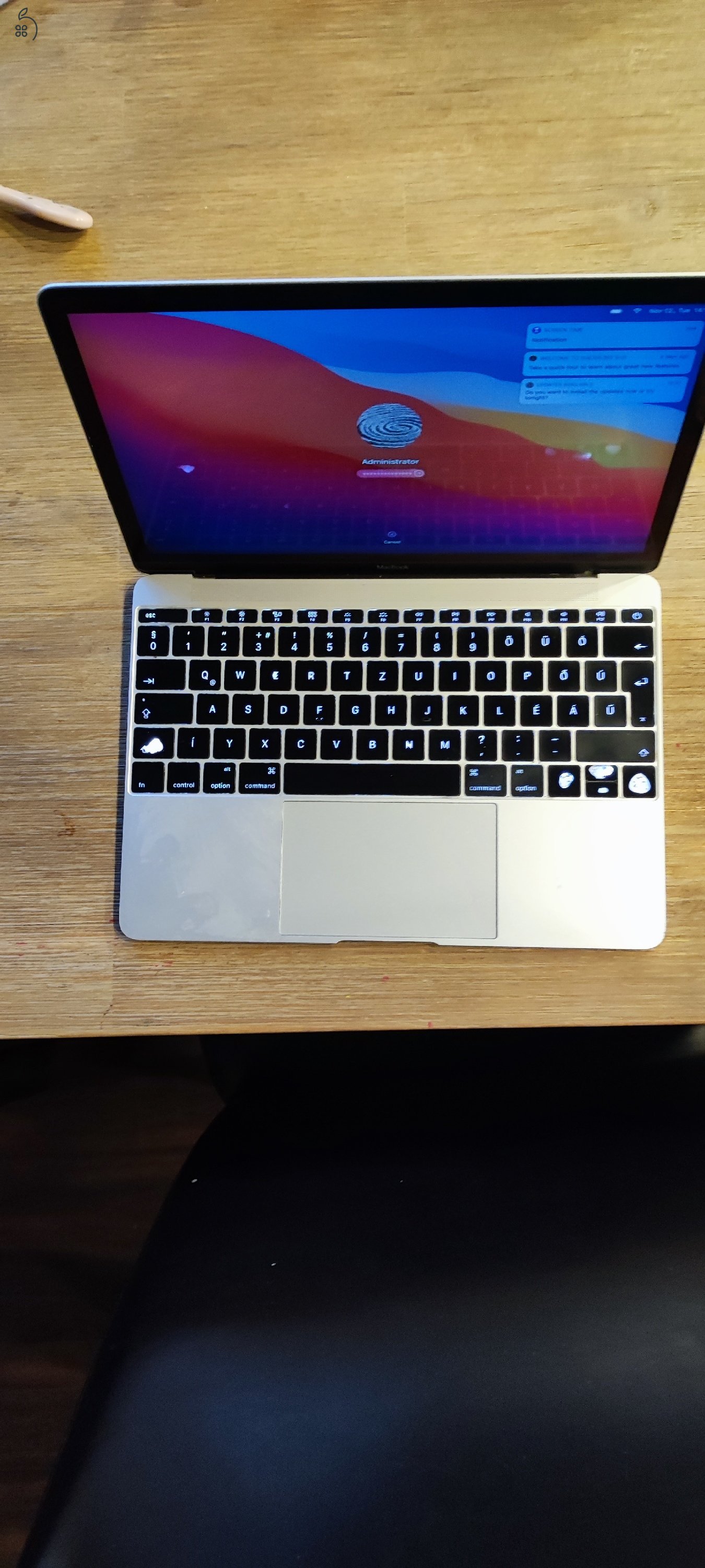 MacBook Retina 12