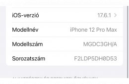 iPhone 12 Pro Max 