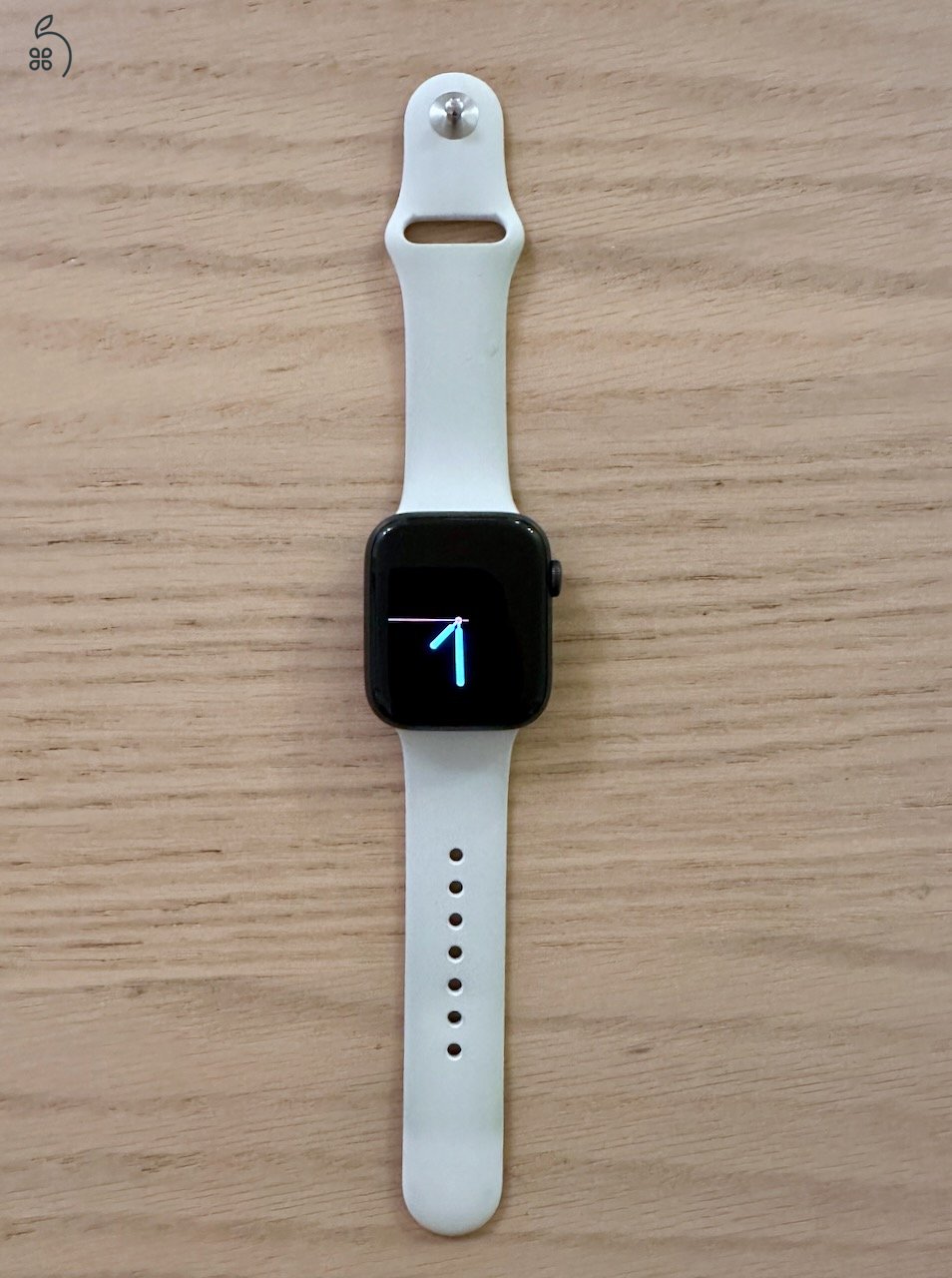 Apple Watch Series 6 (GPS + Cellular)