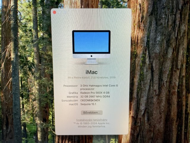 Apple iMac 21,5