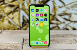 Apple iPhone 11 Pro Max 64 GB Midnight Green - 100% Akku