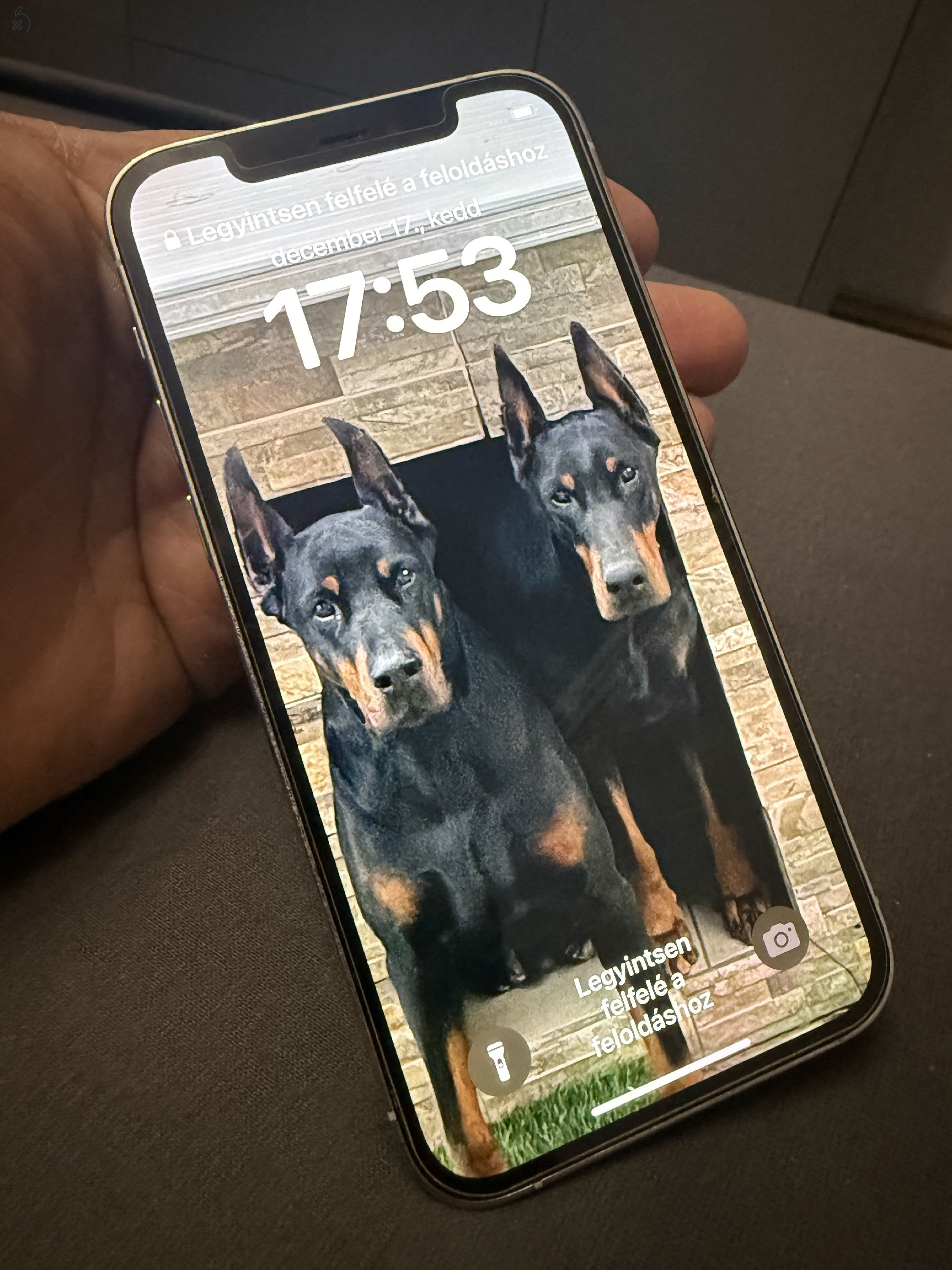 iPhone 12 Pro 256 GB - alaplap hibás