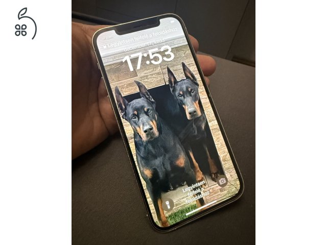 iPhone 12 Pro 256 GB - alaplap hibás