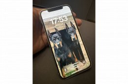 iPhone 12 Pro 256 GB - alaplap hibás