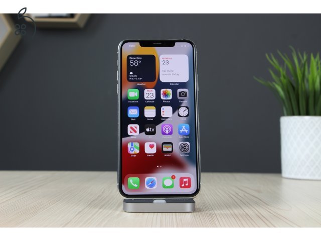 Apple iPhone 11 Pro Max 256GB Silver B US-6006