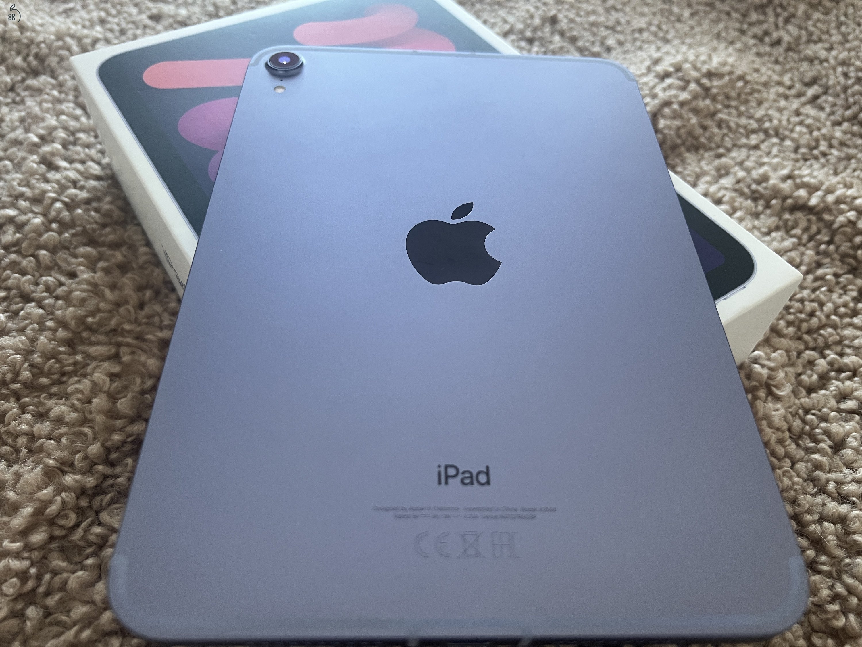 Ipad mini 6 (2021)