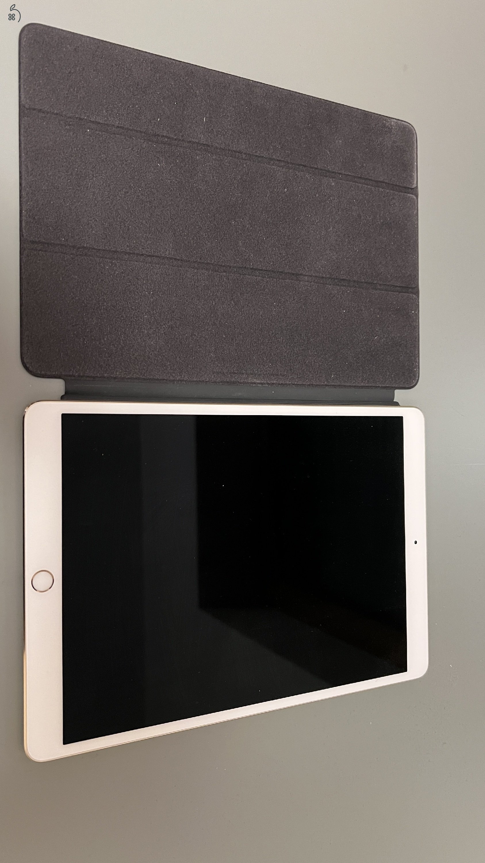 iPad Pro 10.5” 256Gb A1701