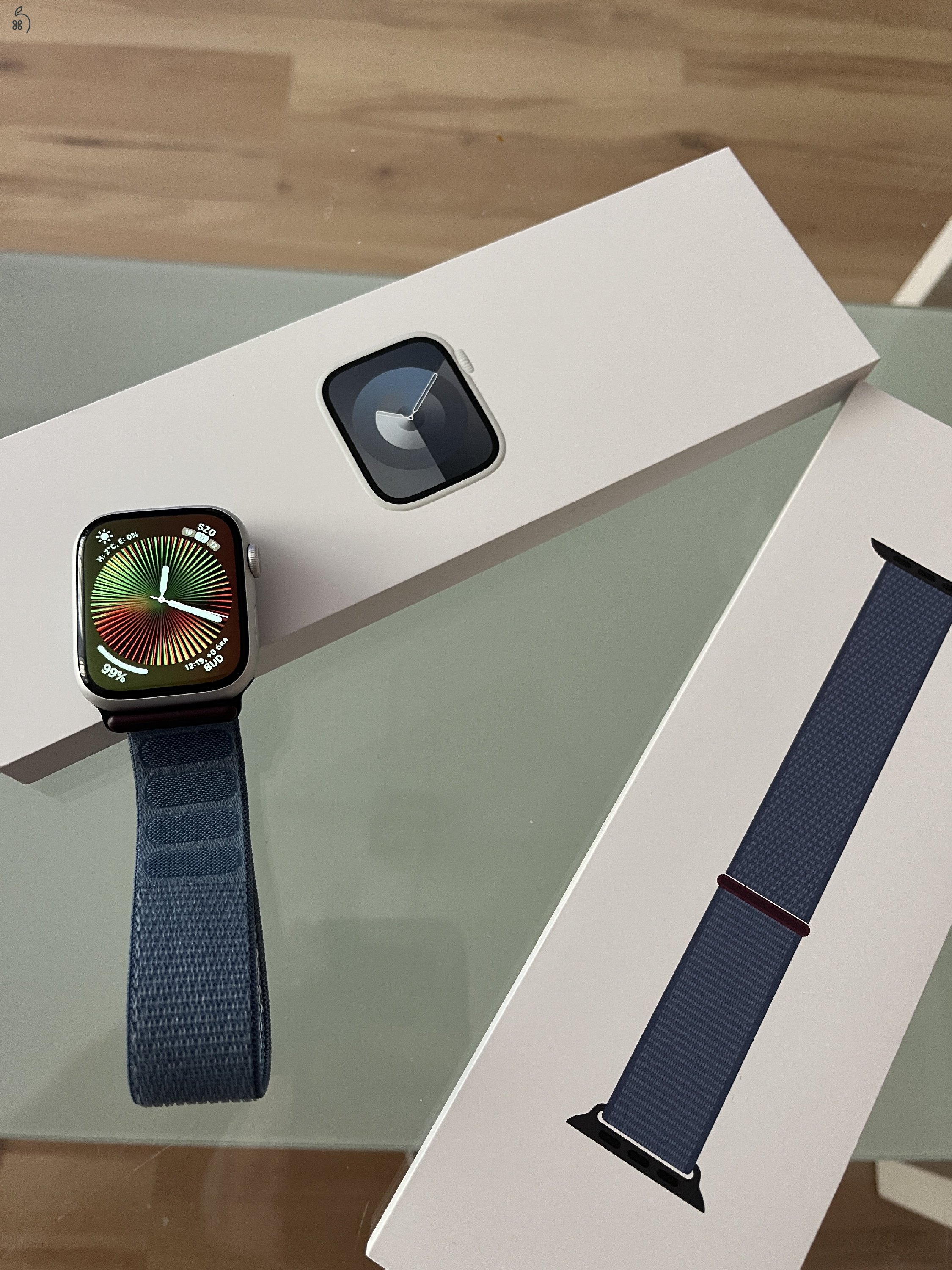 Apple Watch Series 9 45mm Silver