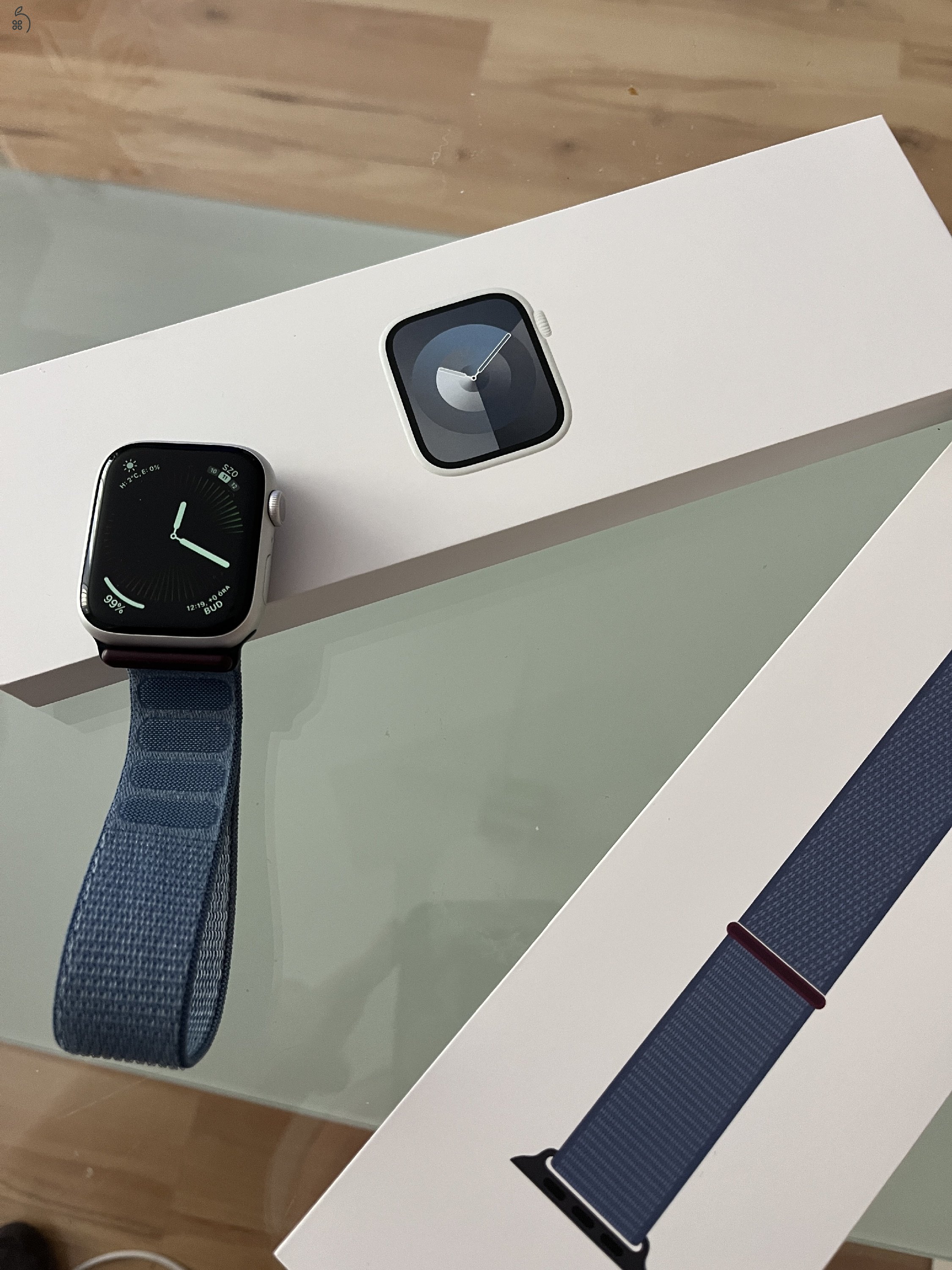 Apple Watch Series 9 45mm Silver