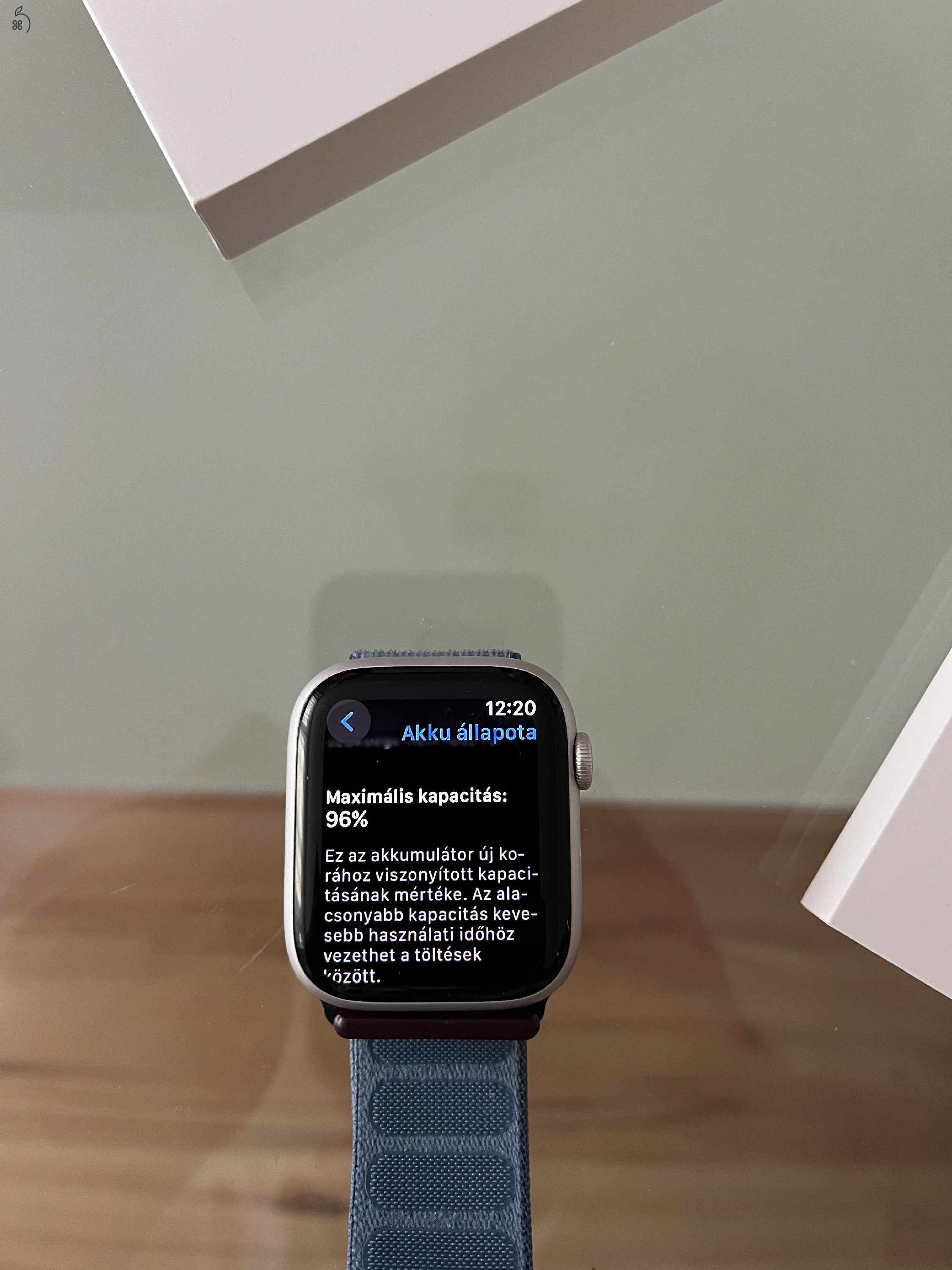 Apple Watch Series 9 45mm Silver