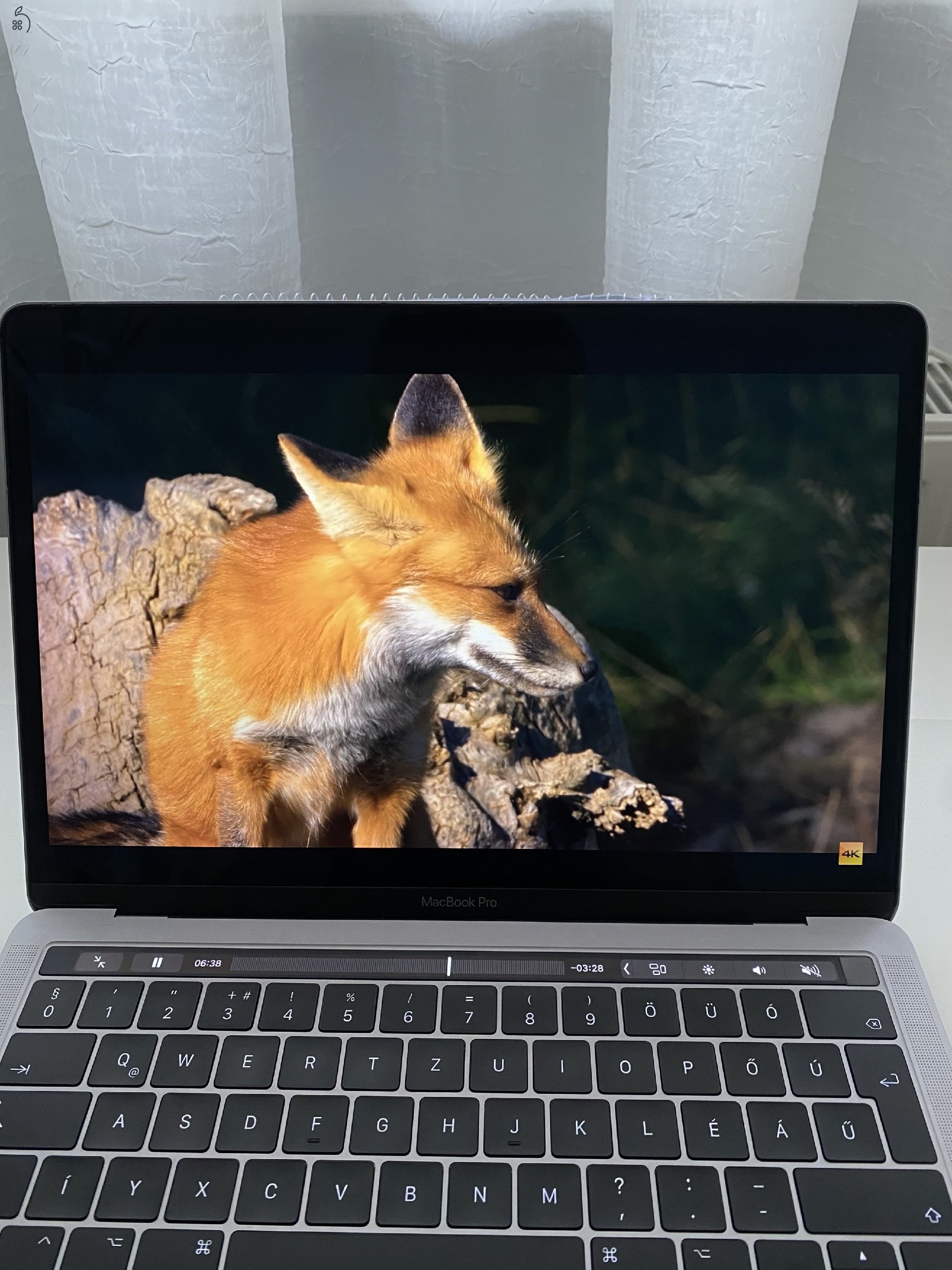 Apple MacBook Pro 13'