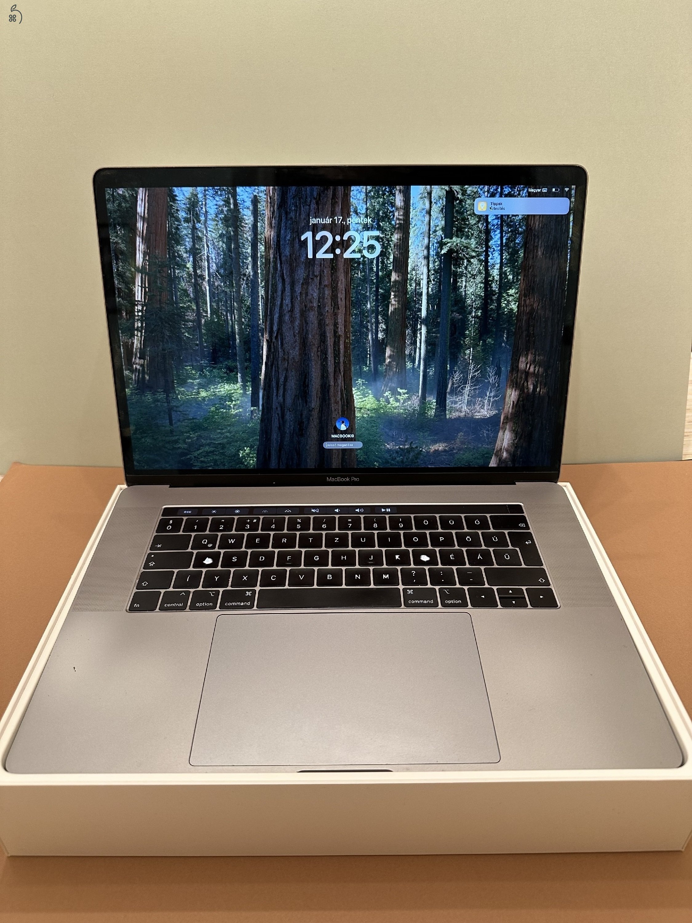 MacBook PRO i9 - 2019 / Space Grey