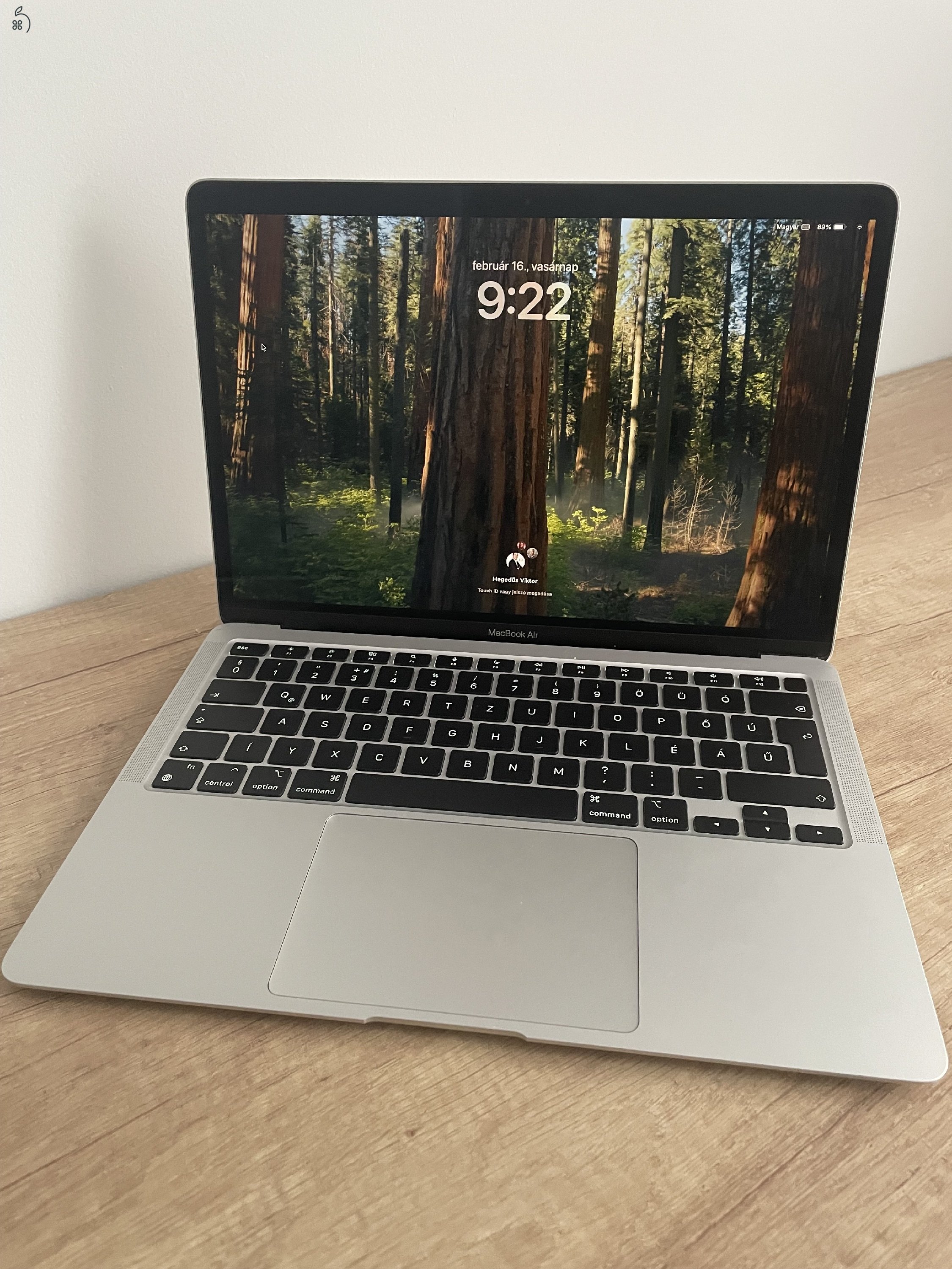 Apple MacBook Air 13