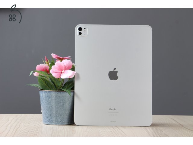 Apple iPad Pro 13