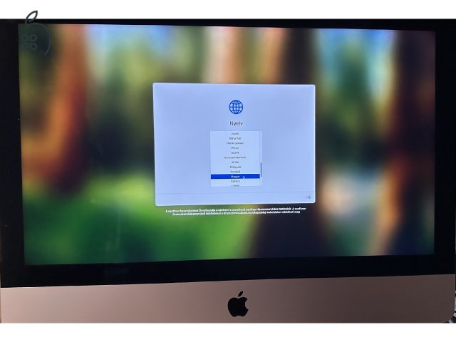 iMac 21.5