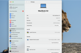 Macbook Air '13' 2020  512 GB 