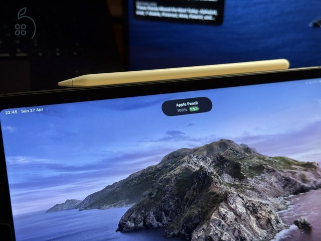 Ipad Pro M1 256Gb Cell & Apple Pencil + Folio Style tok