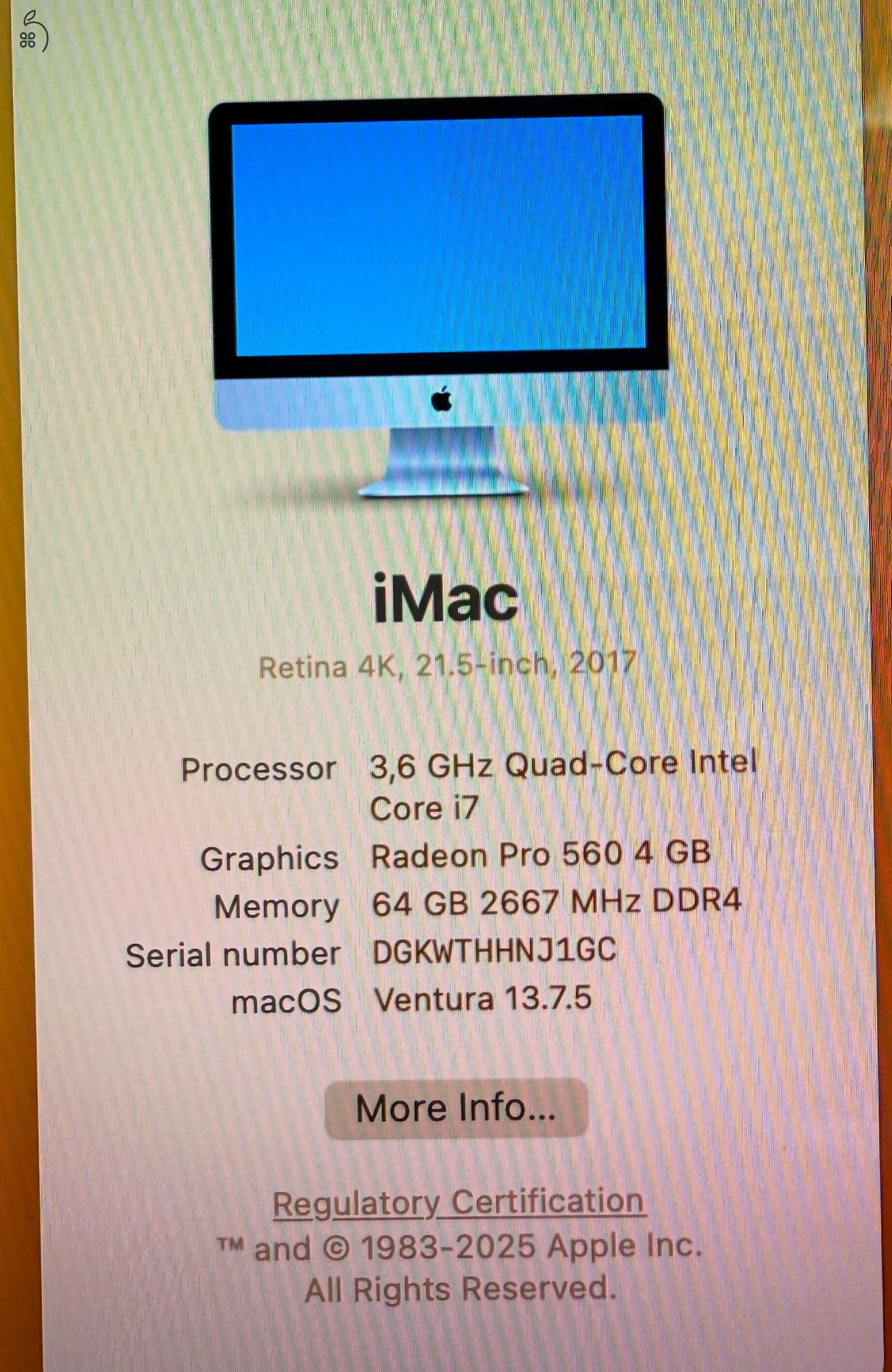 iMac 21,5