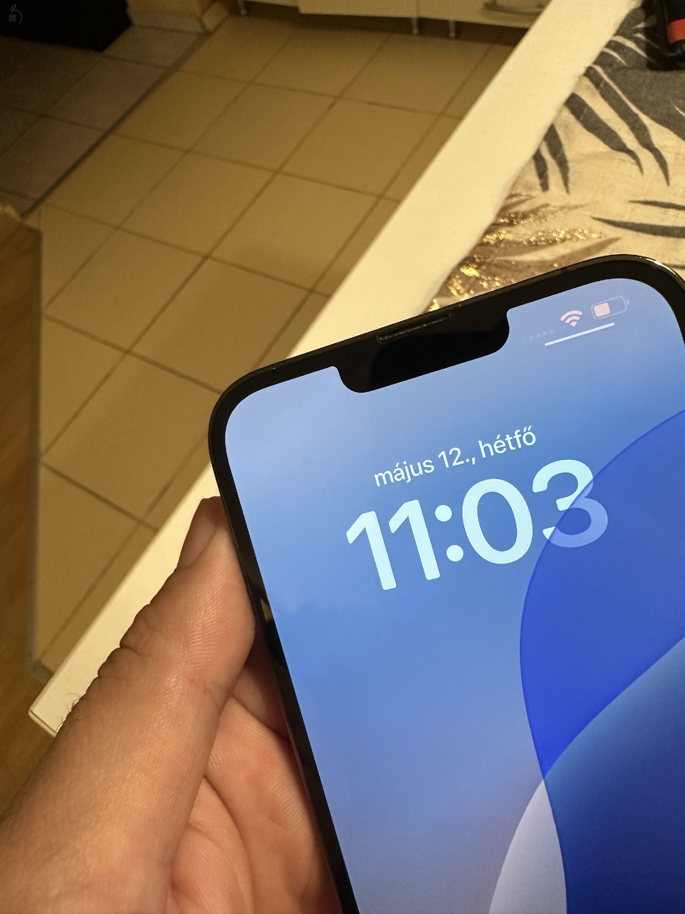 iPhone 13 pro max 1tb