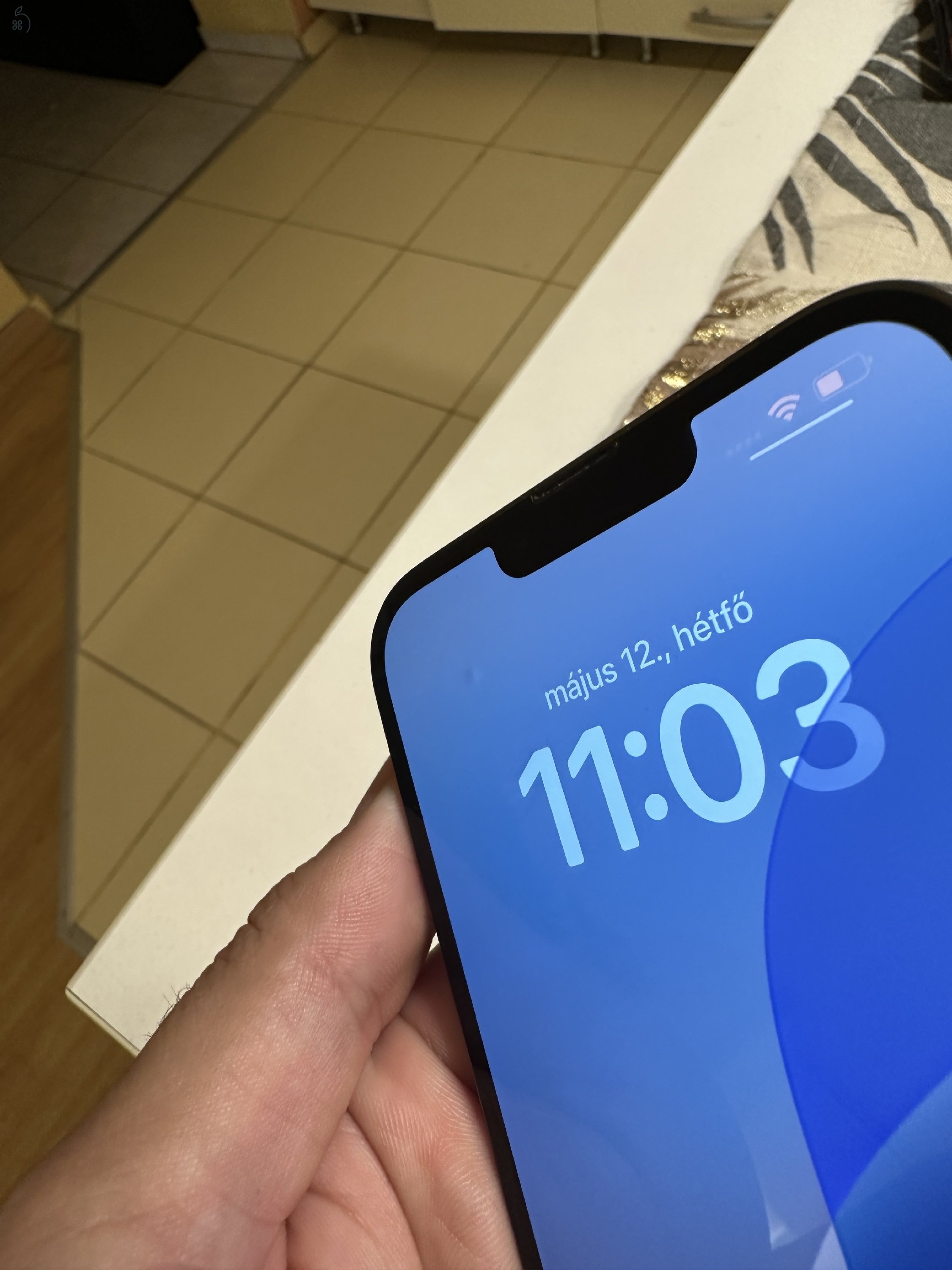 iPhone 13 pro max 1tb