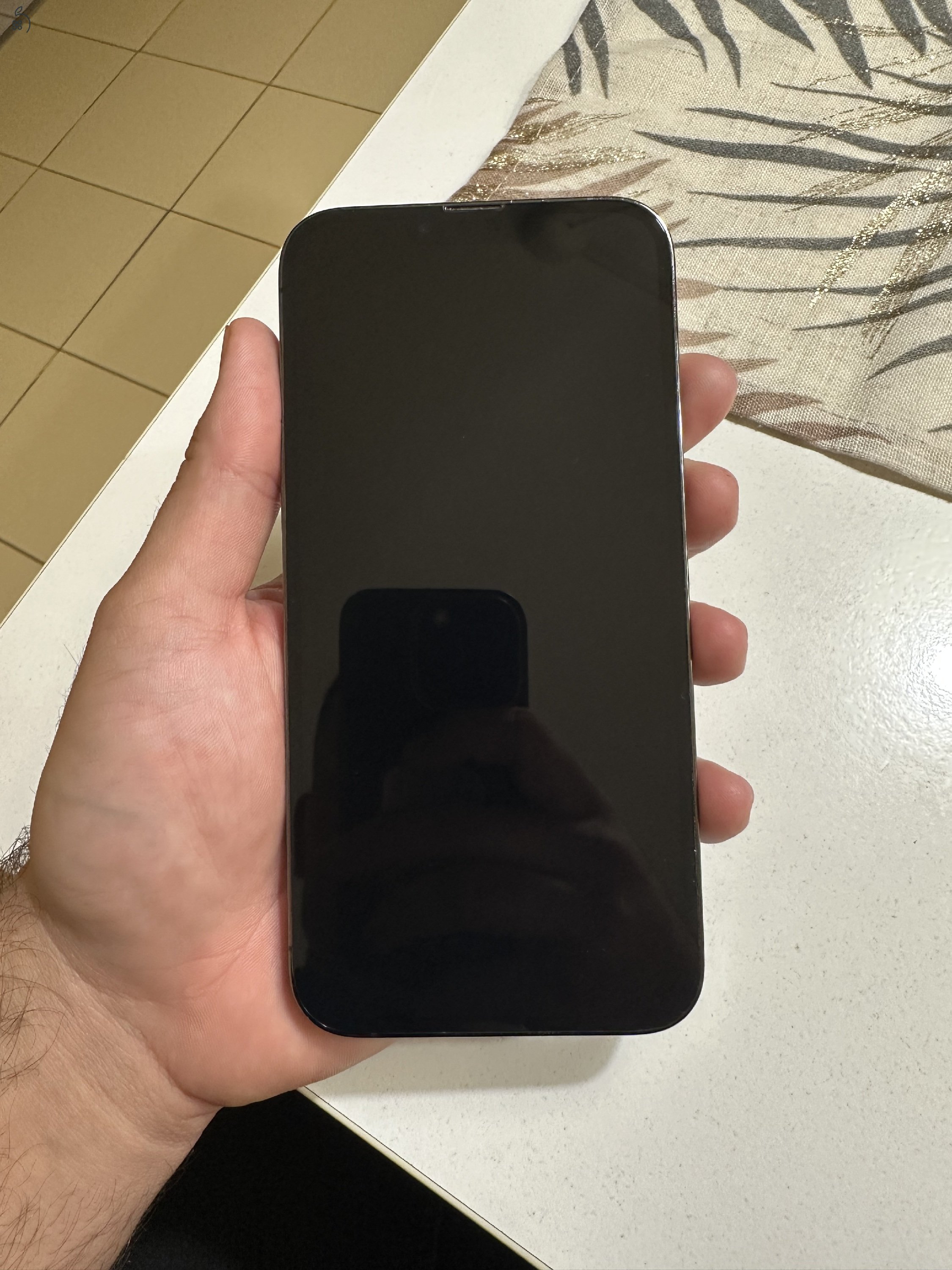 iPhone 13 pro max 1tb