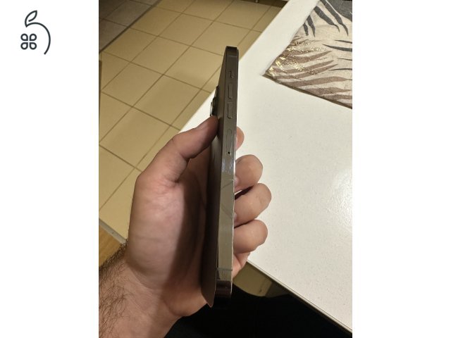 iPhone 13 pro max 1tb