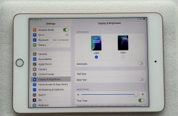 iPad Mini 5 64GB WiFi