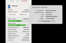 iPad Mini 5 64GB WiFi