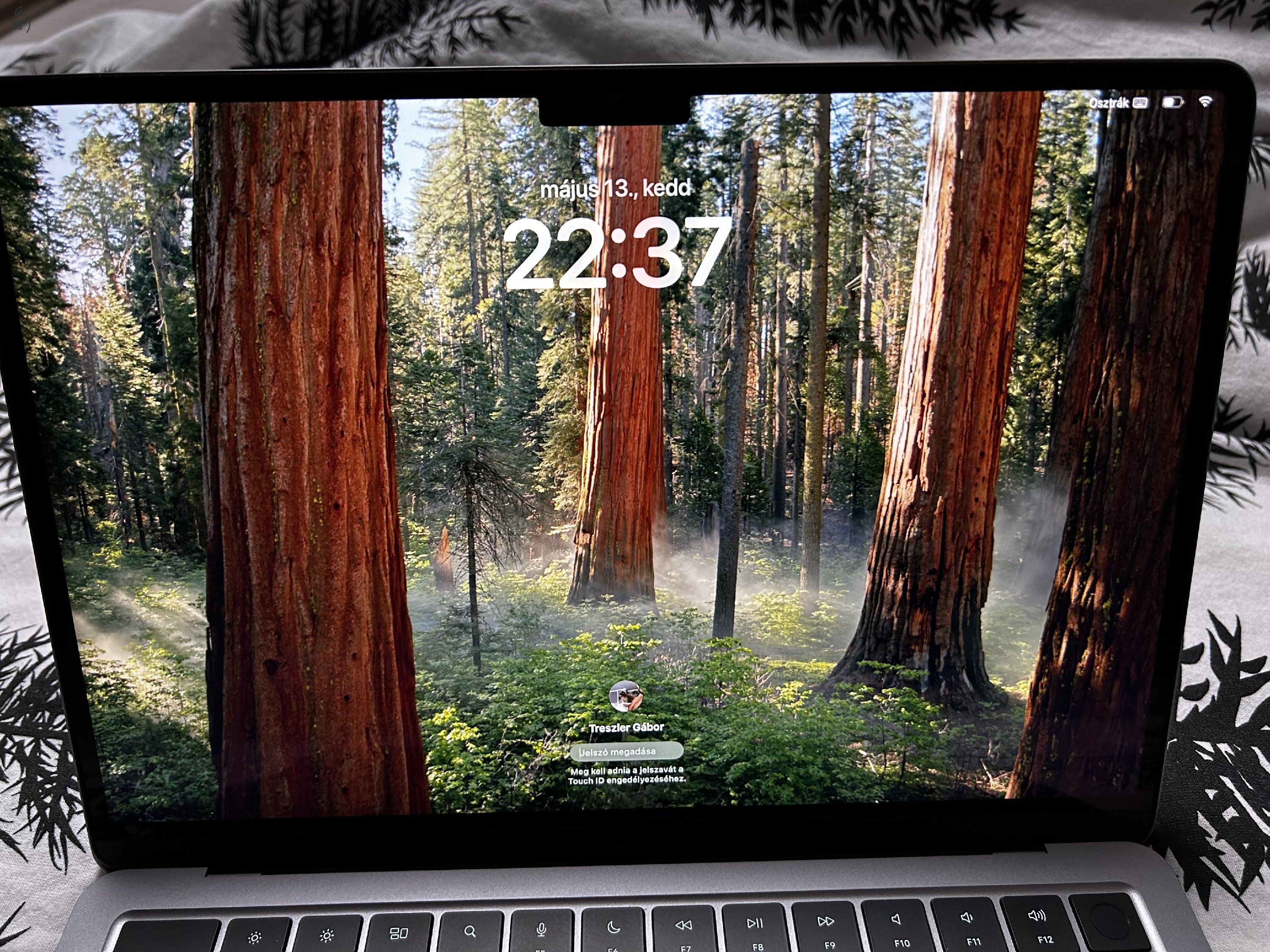 Apple MacBook Air