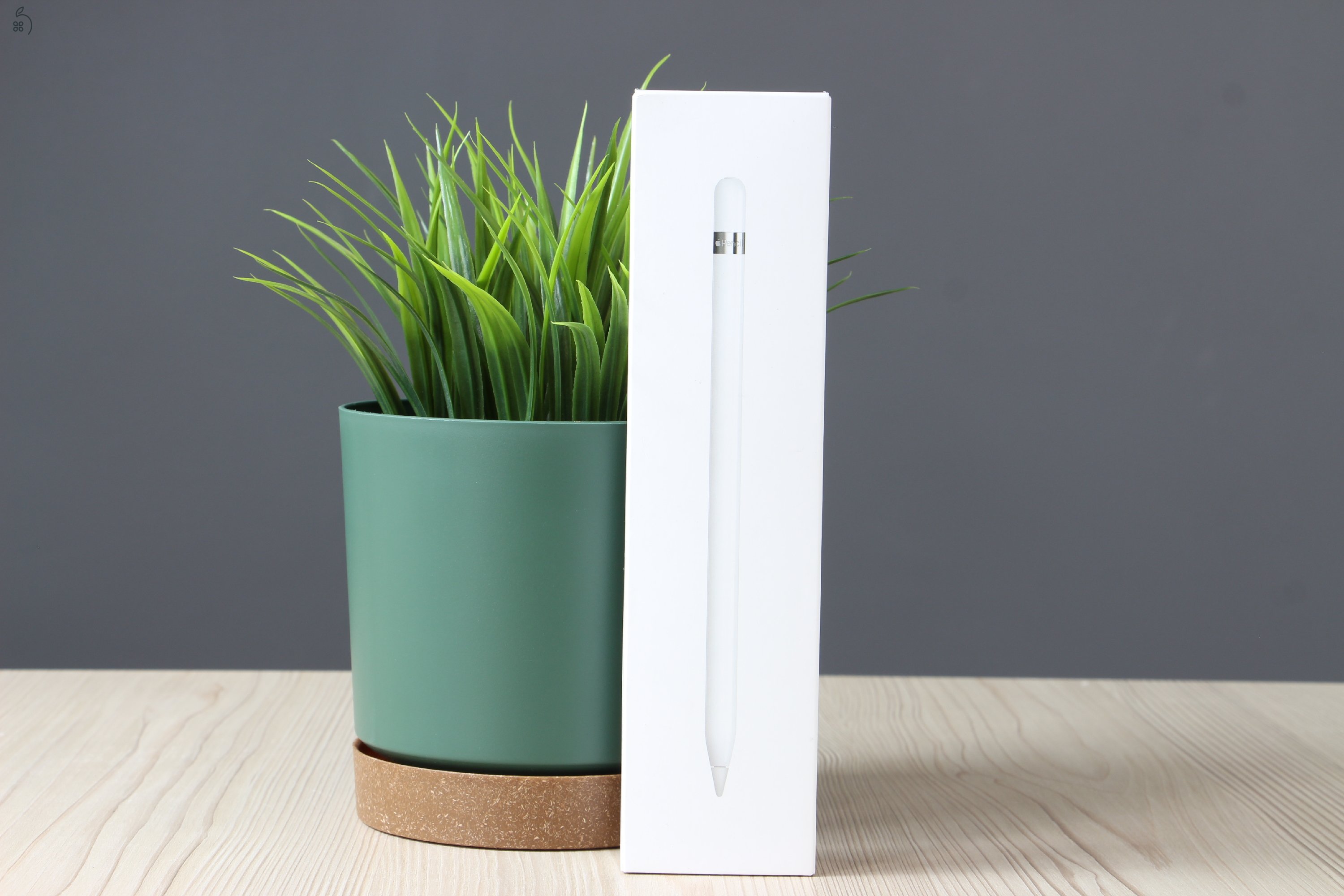 Apple Pencil 1 US-6731