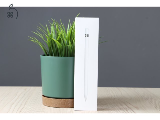 Apple Pencil 1 US-6731