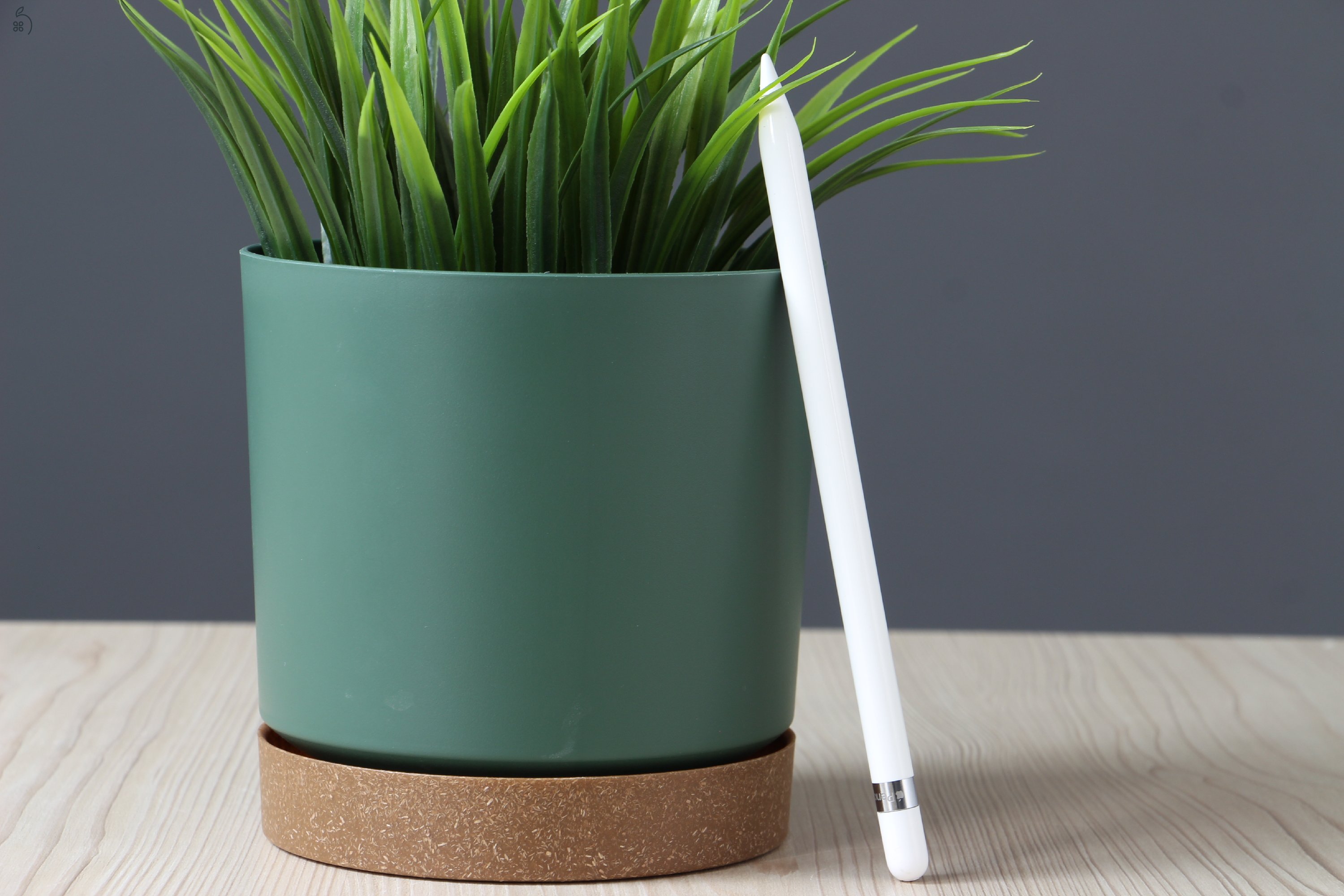 Apple Pencil 1 US-6731