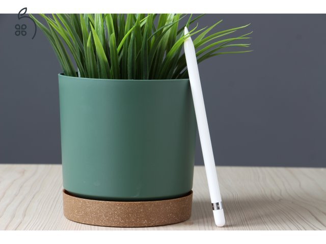 Apple Pencil 1 US-6731