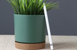 Apple Pencil 1 US-6731