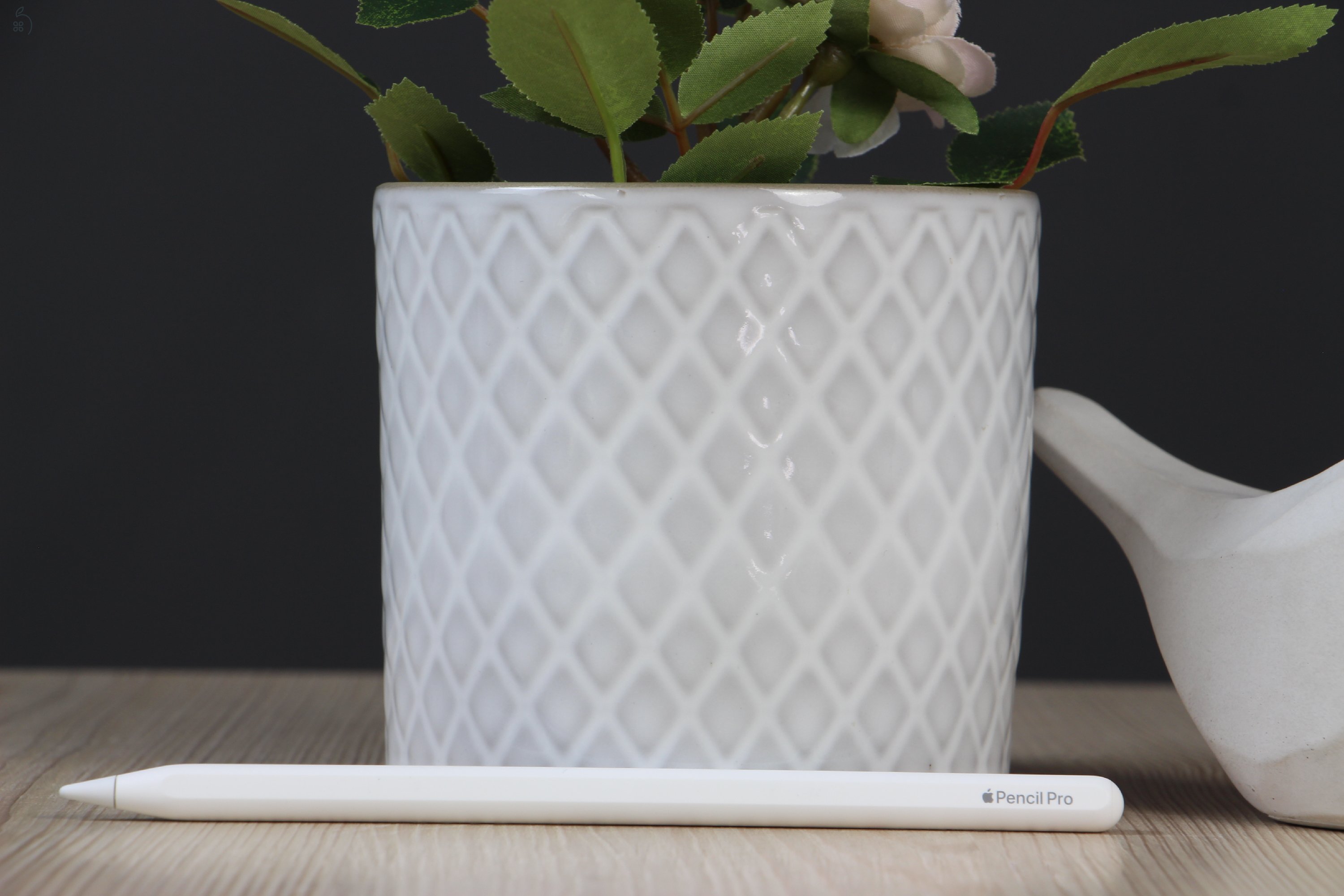 Apple Pencil Pro US-6738