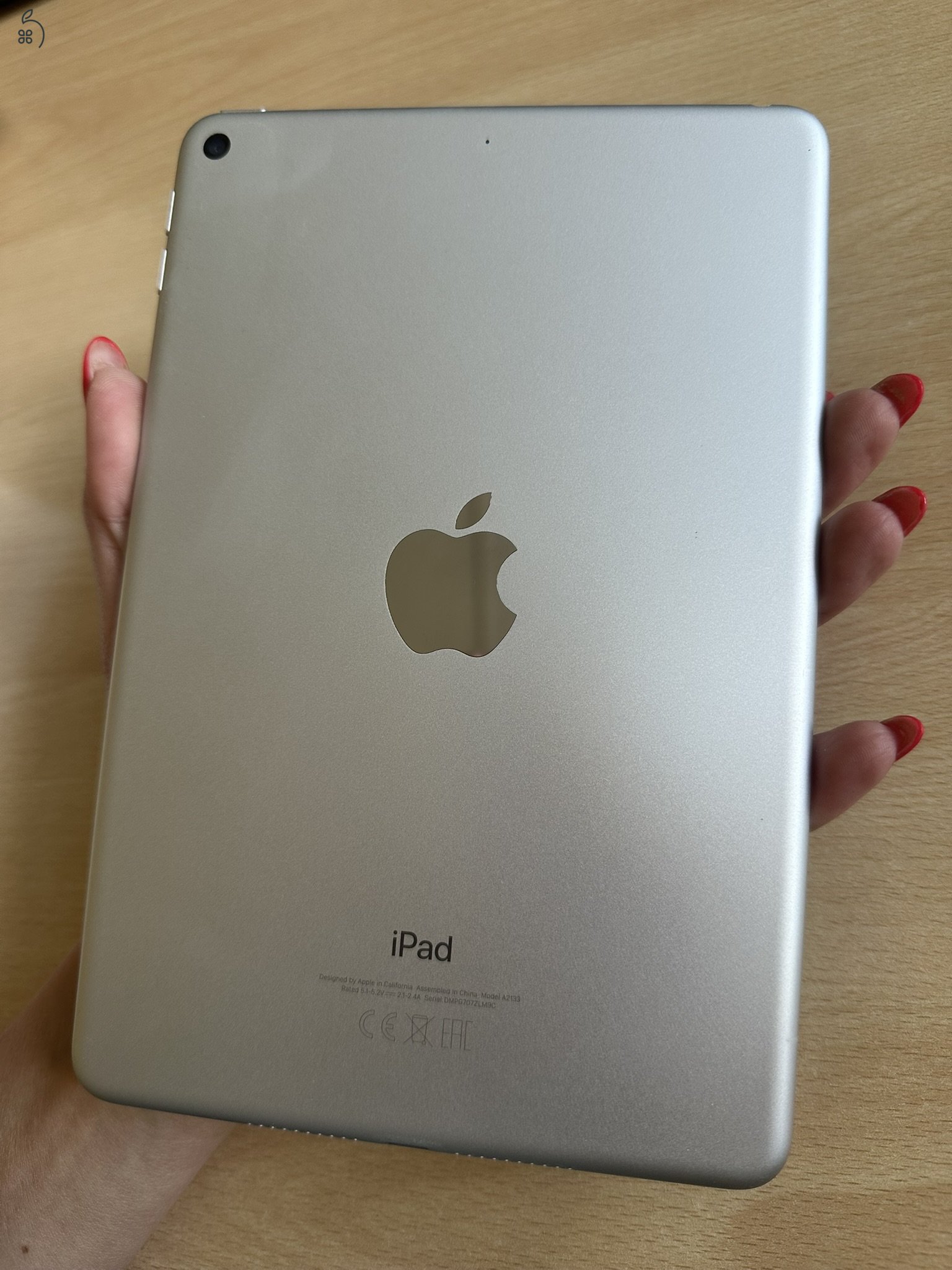 iPad mini 5 - silver, 256 gb