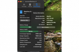 iPad Pro 10.5 ezüst 64Gb