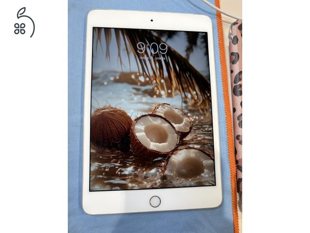 Apple ipad mini 4 16 GB