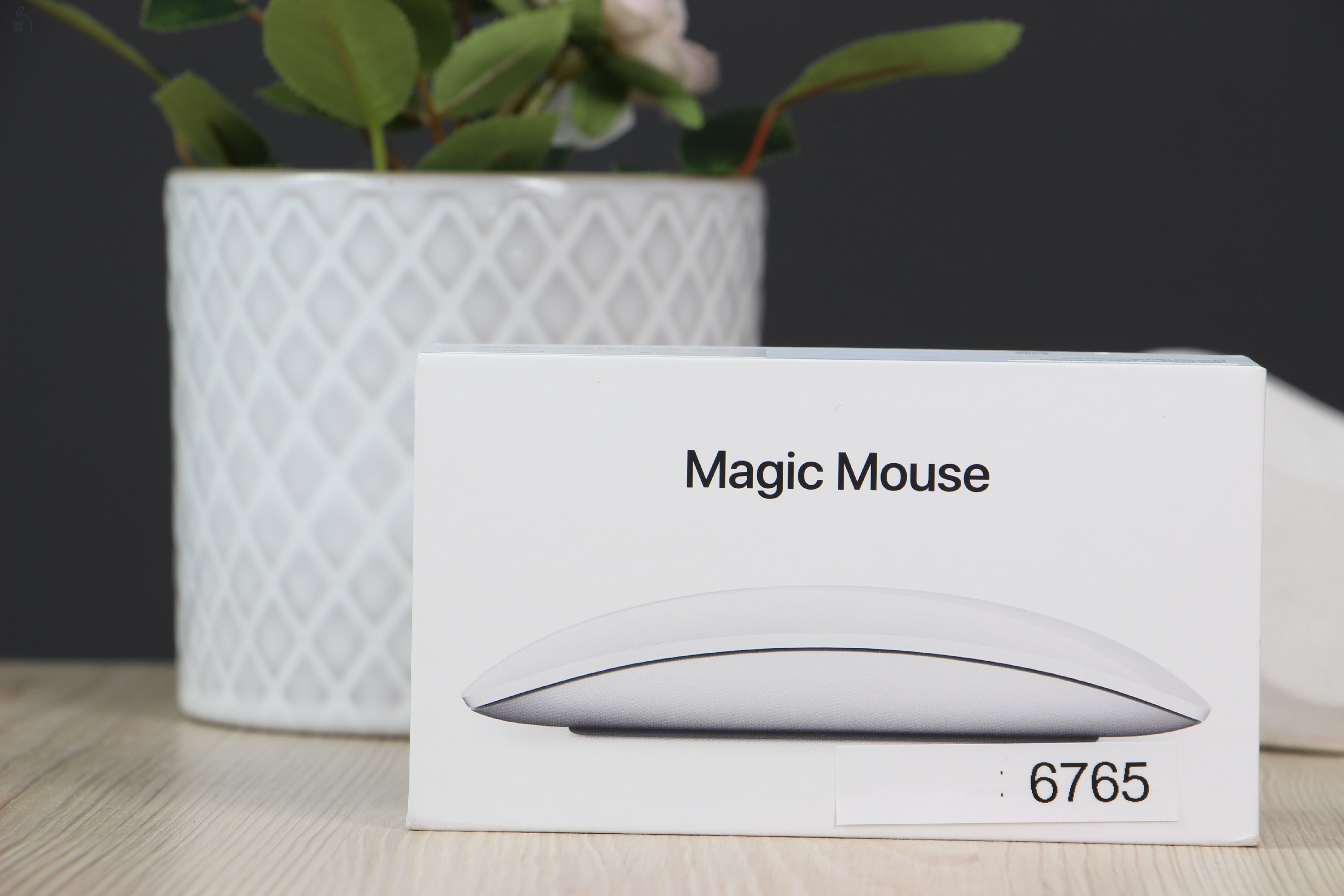 Újszerű Apple Magic Mouse 2024 (USB-C) US-6765