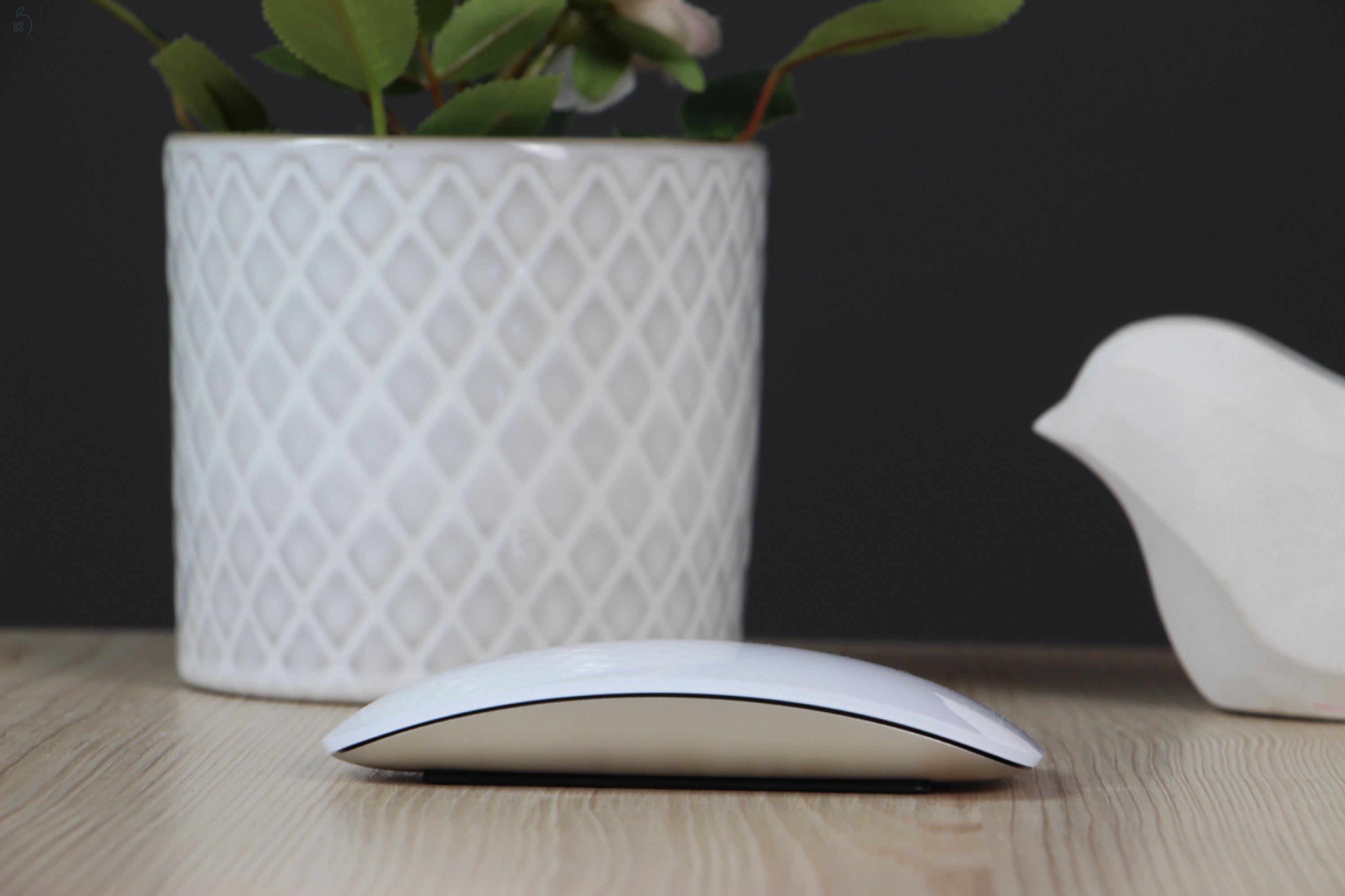Újszerű Apple Magic Mouse 2024 (USB-C) US-6765